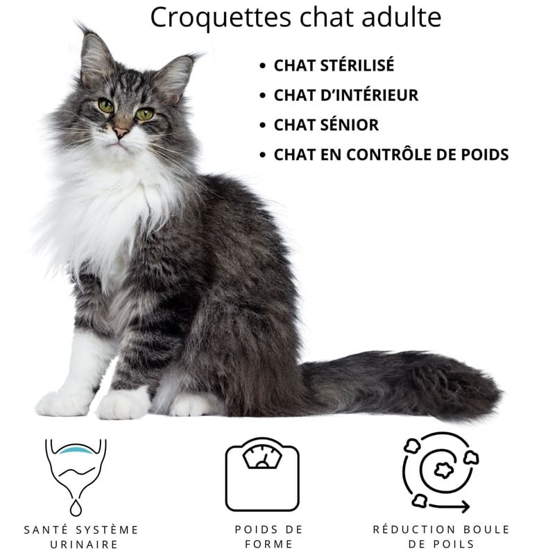 SAUMON et POISSON – Image 4