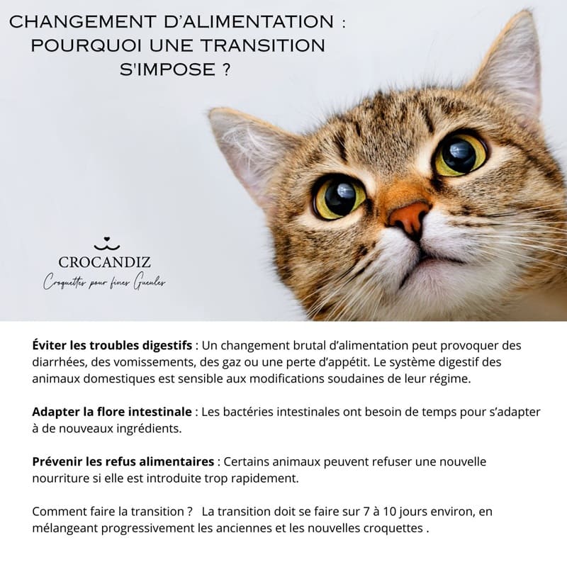 SAUMON et POISSON – Image 8